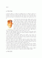 떡의 종류와 만들기 3페이지