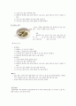 떡의 종류와 만들기 10페이지