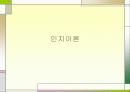 인지이론 1페이지