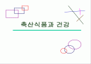 축산식품과 건강 1페이지