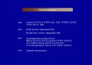 기초영양 25페이지