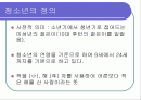 청소년 복지의 문제와 과제 2페이지