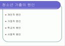 청소년 복지의 문제와 과제 11페이지