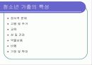 청소년 복지의 문제와 과제 12페이지