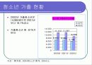 청소년 복지의 문제와 과제 13페이지