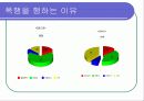 청소년 복지의 문제와 과제 26페이지