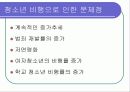 청소년 복지의 문제와 과제 27페이지