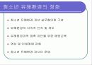 청소년 복지의 문제와 과제 30페이지