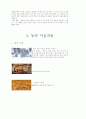 동서양의 미술비교 7페이지