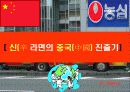 농심 신라면의 중국 진출기(성공사례) 9페이지