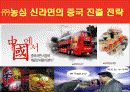 농심 신라면의 중국 진출기(성공사례) 10페이지