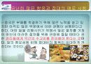 농심 신라면의 중국 진출기(성공사례) 19페이지