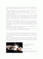21세기 인체미의 가치관 2페이지