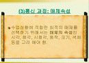 매체의 선택과 분류 7페이지
