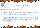 사회과 교육의 새로운 패러다임 모색 9페이지