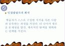 사회과 교육의 새로운 패러다임 모색 21페이지