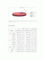 프라자와 리츠칼튼 회계자료분석 및 경영전략 5페이지