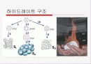 독도와 하이드레이트 6페이지