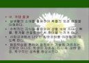 수학교과교육론 (확률통계) 학습지도안 ppt 10페이지