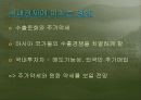 일본 경제의 불안 7페이지