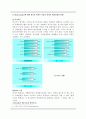 매체기획자(media planner)가 되기 위한 경영학적 계획과 목표 3페이지