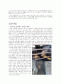 보신식품의 허상과 실상 6페이지