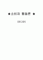 인디안 마케팅전략 1페이지