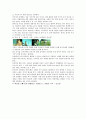 인디안 마케팅전략 6페이지