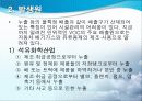 VOC[휘발성유기화합물] 5페이지