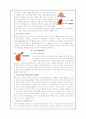내분비계 구조와 기능 11페이지