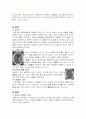 뇌경색( 문헌고찰-그림포함) 6페이지