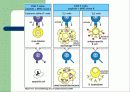 T cell function test 4페이지