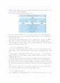 Wibro,위성DMB,IPv6의 개요와 시장현황 및 메이저업체 7페이지