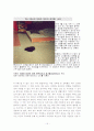 주한미군범죄의 실태분석과 대응방안 15페이지
