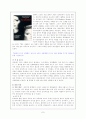[영화 평론] 페미니즘 영화 분석 7페이지