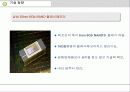 플래시메모리 기술 및 산업동향 10페이지