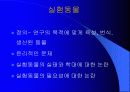 동물실험에 대한 나의 생각 3페이지