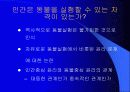 동물실험에 대한 나의 생각 4페이지