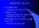 동물실험에 대한 나의 생각 7페이지