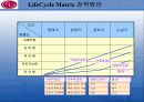 LG기업의 BCG매트릭스와 MCKINSEY매트릭스 4페이지