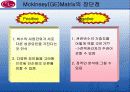 LG기업의 BCG매트릭스와 MCKINSEY매트릭스 8페이지