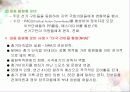 정경유착과 로비(경영환경분석) 8페이지