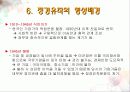 정경유착과 로비(경영환경분석) 10페이지