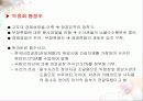 정경유착과 로비(경영환경분석) 13페이지