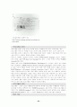 컴퓨터의 역사 22페이지