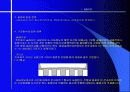 사장교에 대하여 7페이지