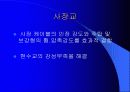 사장교에 대하여 12페이지