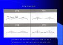 사장교에 대하여 15페이지
