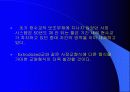 사장교에 대하여 25페이지