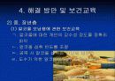 약물 오남용의 실태와 관리대책 27페이지